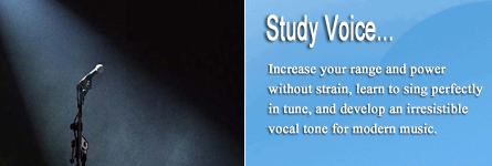 website template image